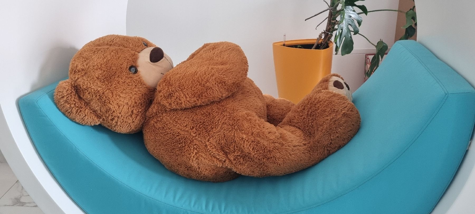 Giocattoli: Peluche Orso gigante – Usato da Ligornetto venduto da nic_rp2g 2