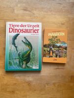 2 Dinosaurier Bücher gebraucht guter Zustand