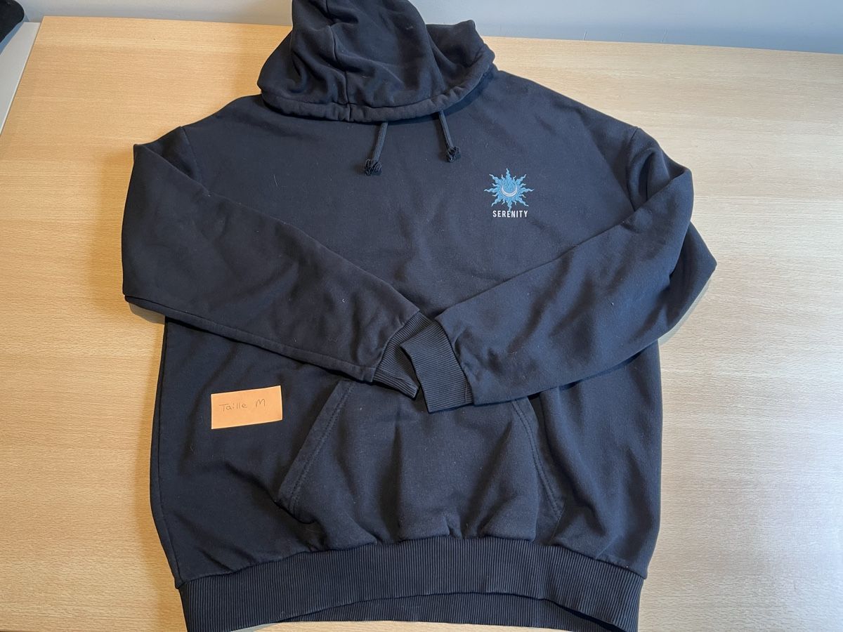 Lotti di vestiti: Set de 4 pulls hoodies taille M – Usato da Romont FR venduto da cat_j6ww 1