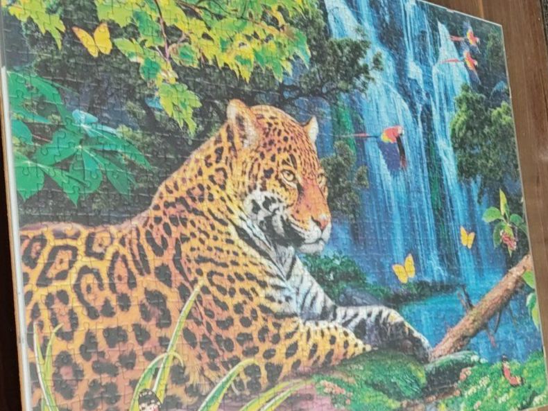 Ravensburger Puzzles: Puzzle Bild Eingerahmt 70 x 50 – Gebraucht aus Dottikon von Oldyfreak 1