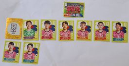 Panini WM 2026 Sticker Südkorea  Stk. 0.20 CHF