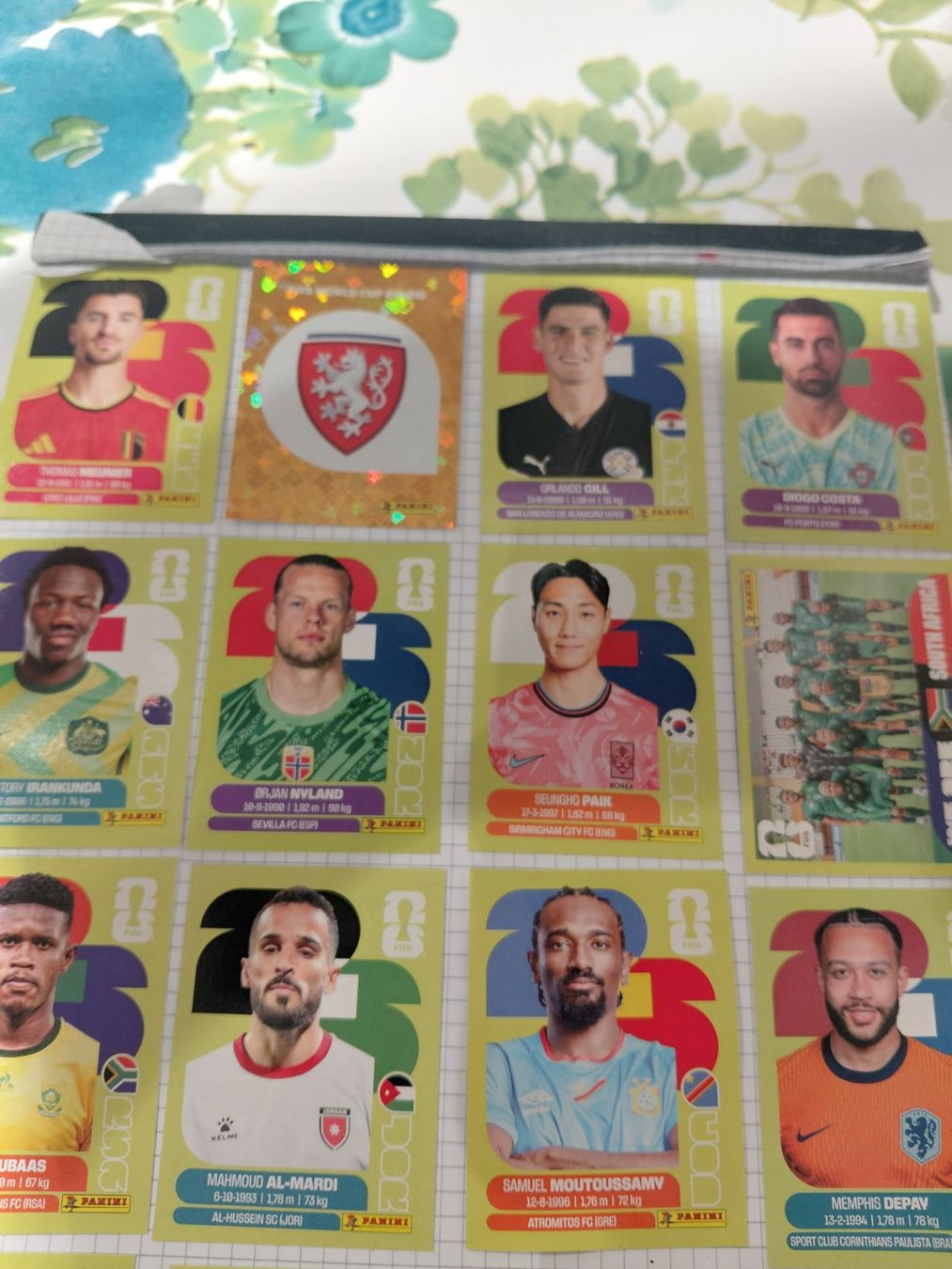Panini Carte collezionabili: PANINI FIFA WORLD CUP 2026 – Nuovo (secondo la descrizione) da Dietikon venduto da annikpatrik 2