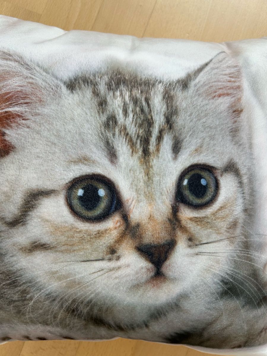 Coussins: Kissen Katze – Neuf (Voir description) à Reinach BL par meinstil 1