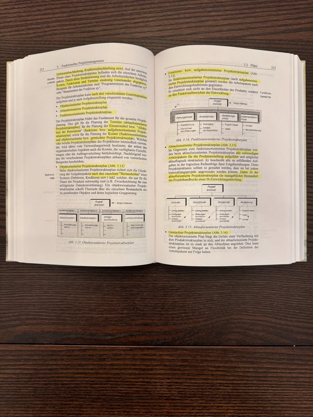 Libri: Projektmanagement in der Wirtschaftsinformatik – Usato da Spreitenbach venduto da Webtempel 2