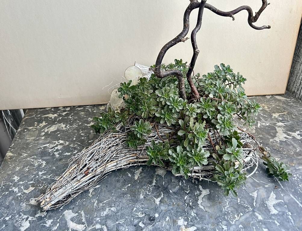Bücher: Blumen im Herz  – Neu und originalverpackt aus Frauenfeld von Irene.Schuppli 1