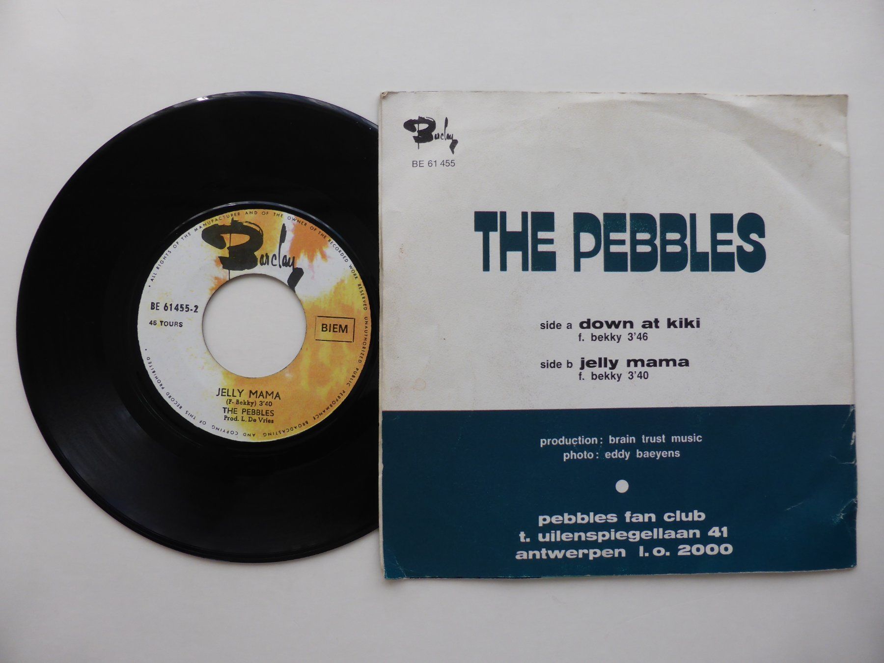 Dischi in vinile: VINYL SINGLE  THE PEBBLES – Usato da Küssnacht am Rigi venduto da Mondkinder 1
