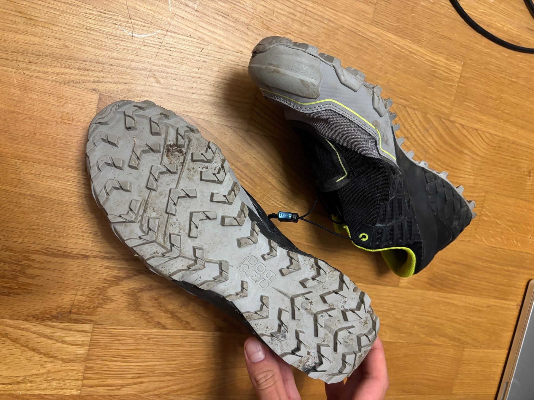 Dynafit Scarpe da uomo: Dynafit Feline SL 45 – Usato da Oberdorf BL venduto da pqh_g6m7 1