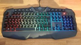 GXT 100% Gaming Tastatur Trust