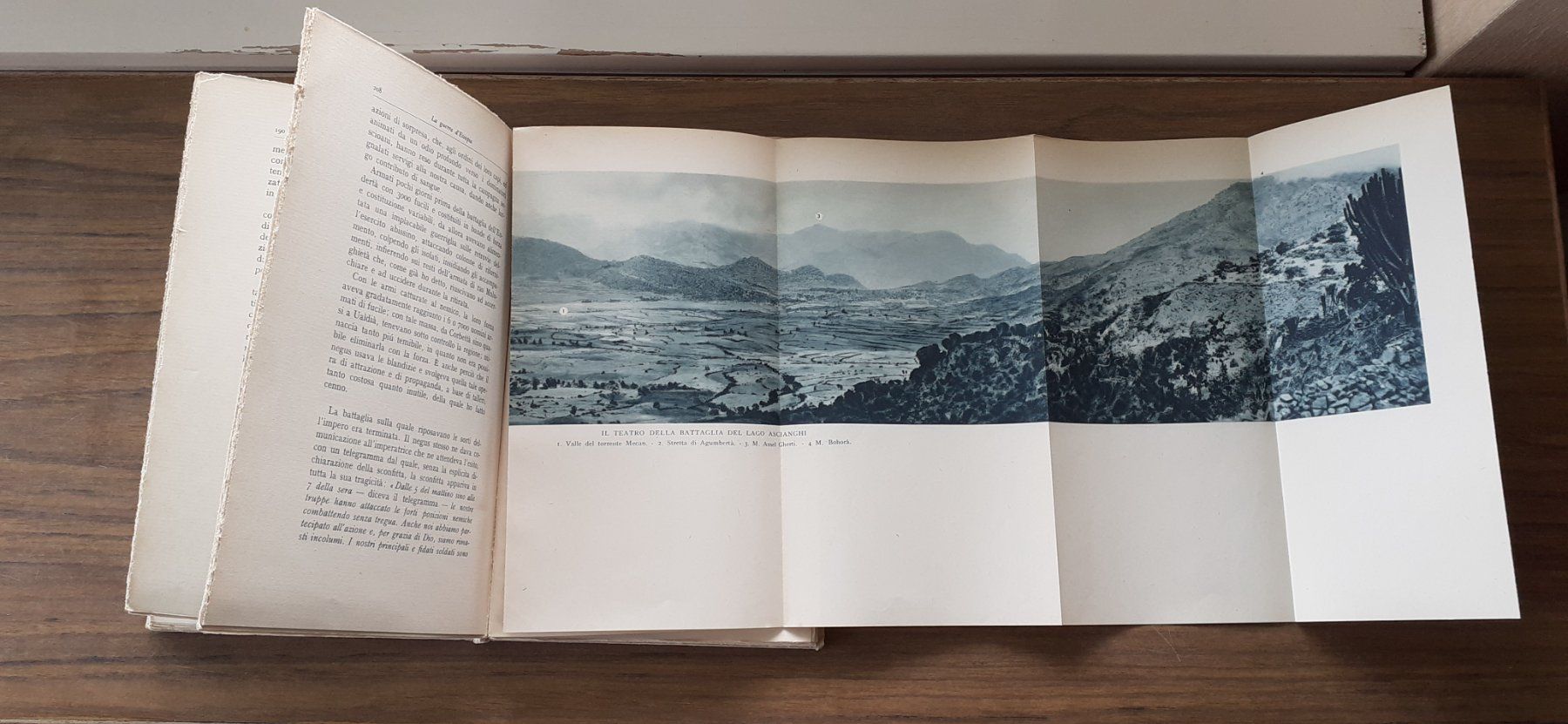 Libri: La guerra d'Etopia – Usato da Mörschwil venduto da lindaswunderkiste 8