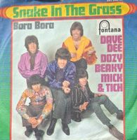 Vinyl-Single Dave Dee - Snake In The Grass