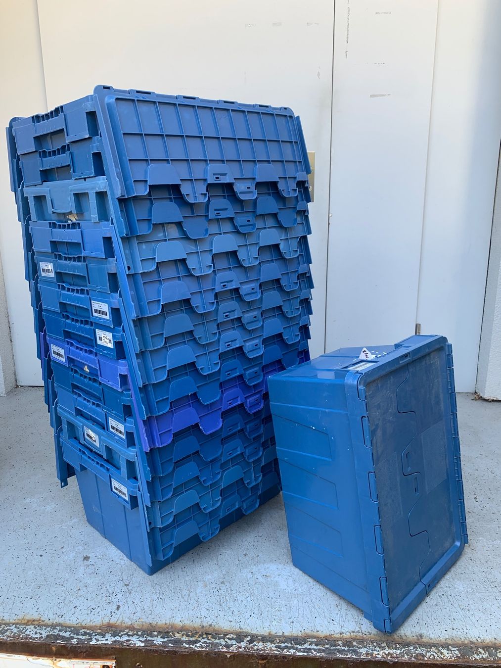 Transportkisten: 13x robuste Plastikboxen mit Klappdeckel – Gebraucht aus Bern von Bahnora