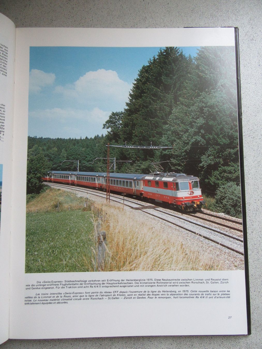 Farbe Fr Holztren