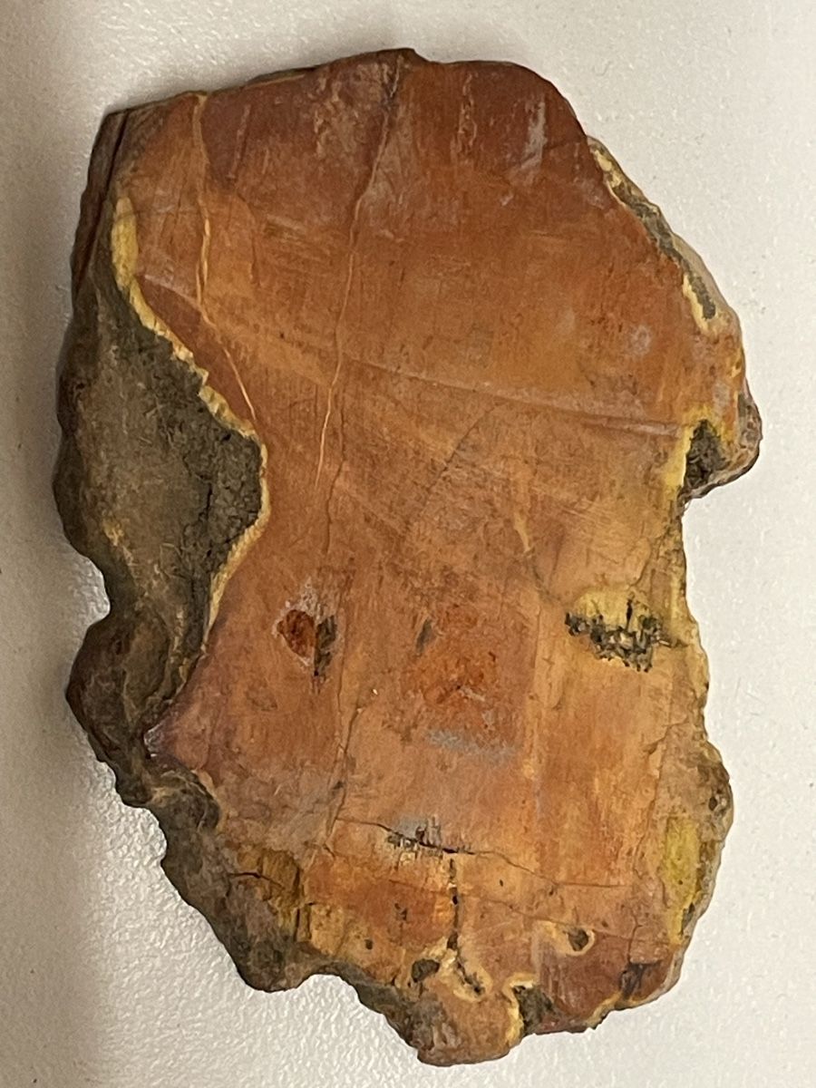 Minerali & Pietre curative: Heilstein / versteinertes Holz / Edelstein – Usato da Rümlang venduto da euqinom16 2