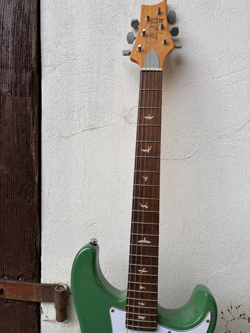 Strumenti musicali: E-Gitarre PRS SE Standard 24 Grün – Usato da Müntschemier venduto da R.e.b.e.c.c.a 2