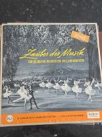 Zauber der Musik