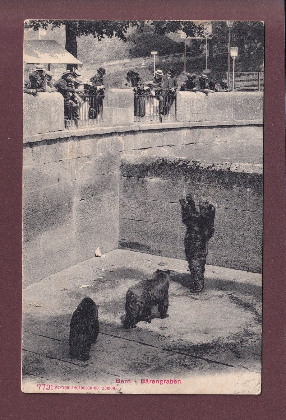 Cartoline postali: BERN - Bärengraben - 1909 – Usato da Pully venduto da nicecards