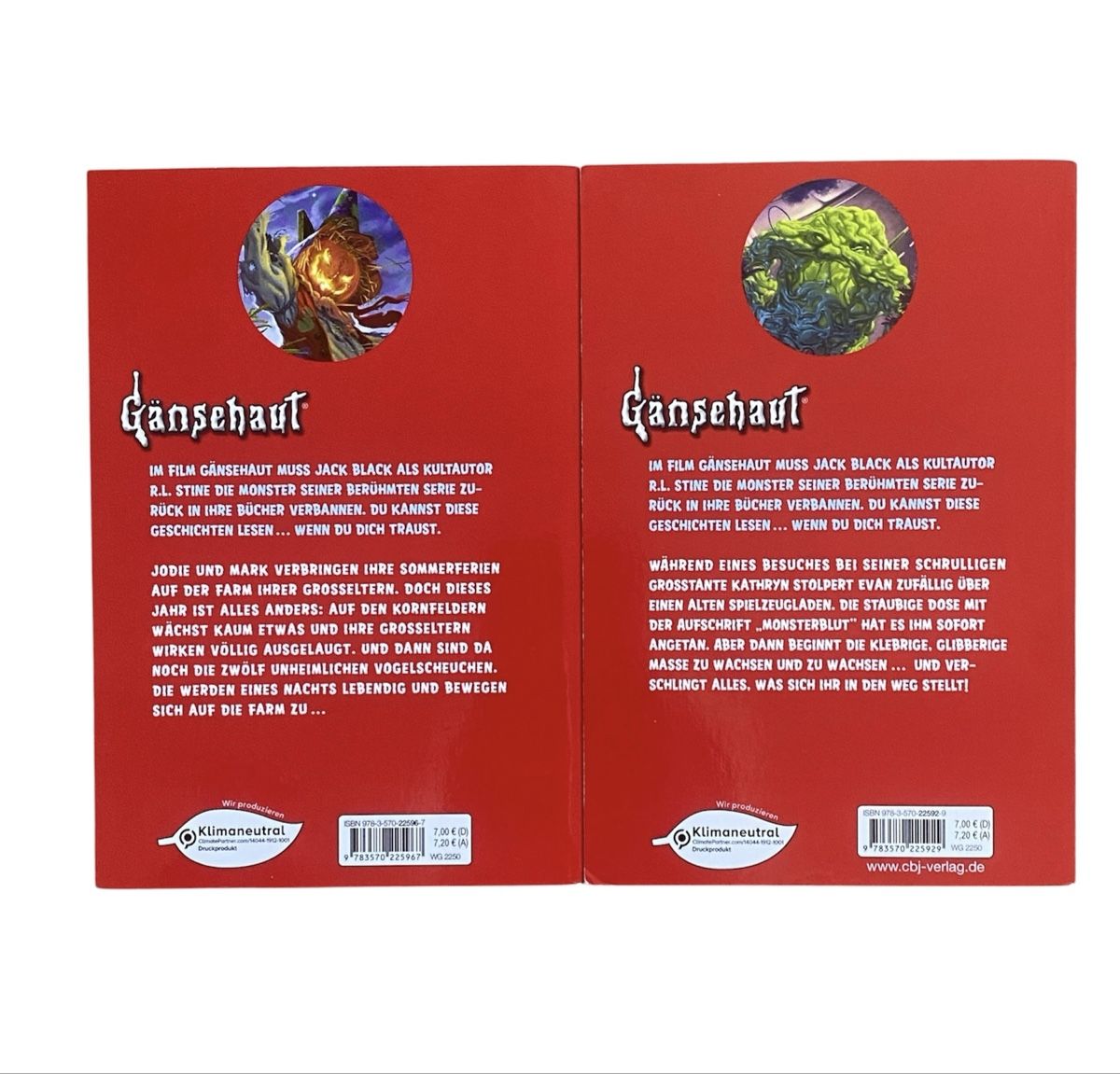 Libri: Gänsehaut R.L. Stine Bündel – Usato da Bonstetten venduto da zweitihand.shop 4