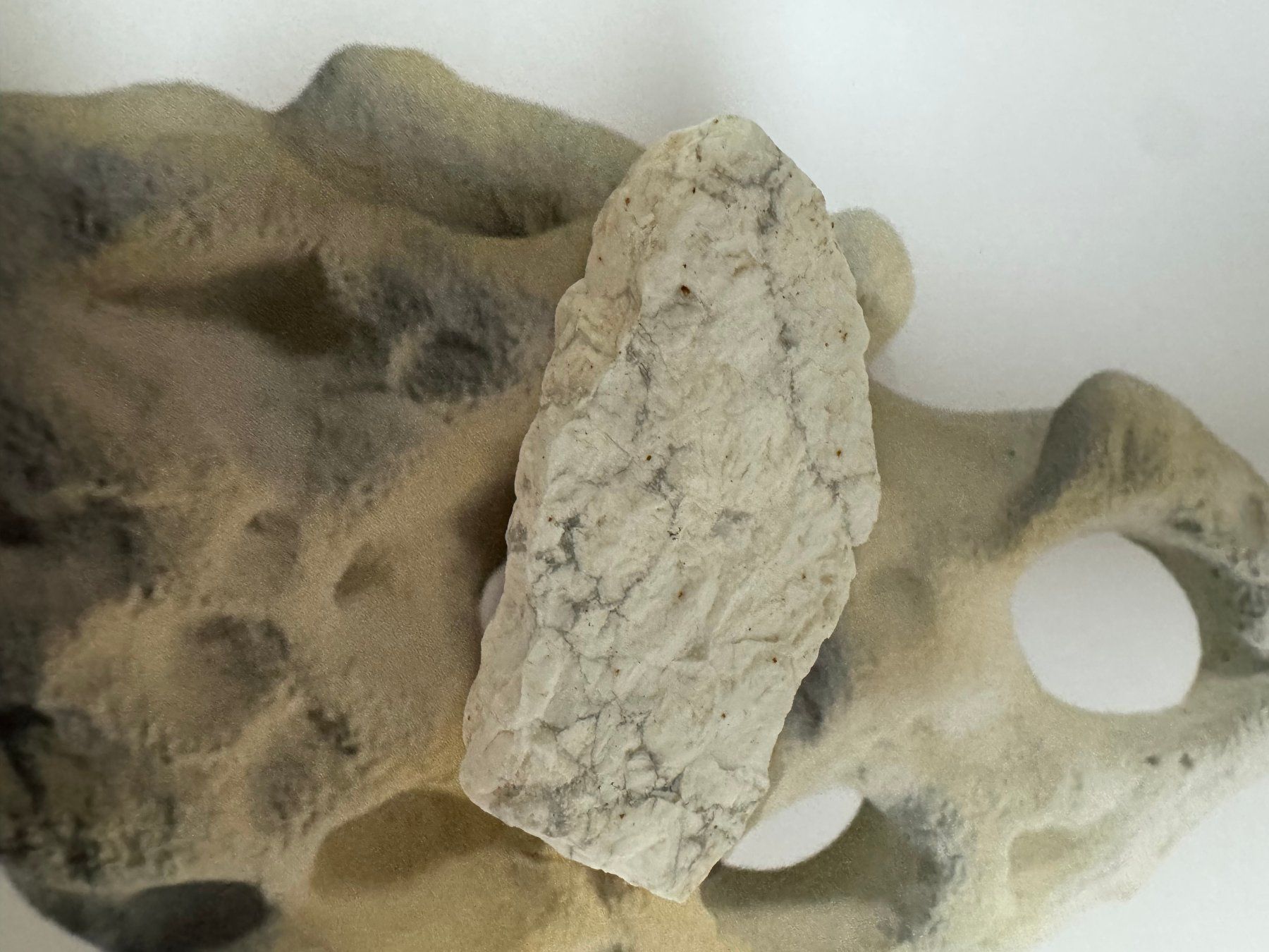 Minerali & Pietre curative: Howlith roh – Nuovo (secondo la descrizione) da Biberist venduto da Steine 1