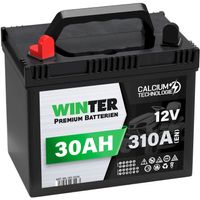 WINTER Rasentraktor Batterie 30Ah