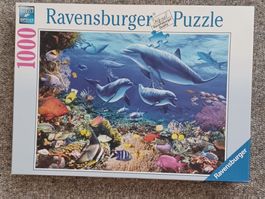 Ravensburger Puzzle Delfine 1000 Teile gebraucht 70x50cm