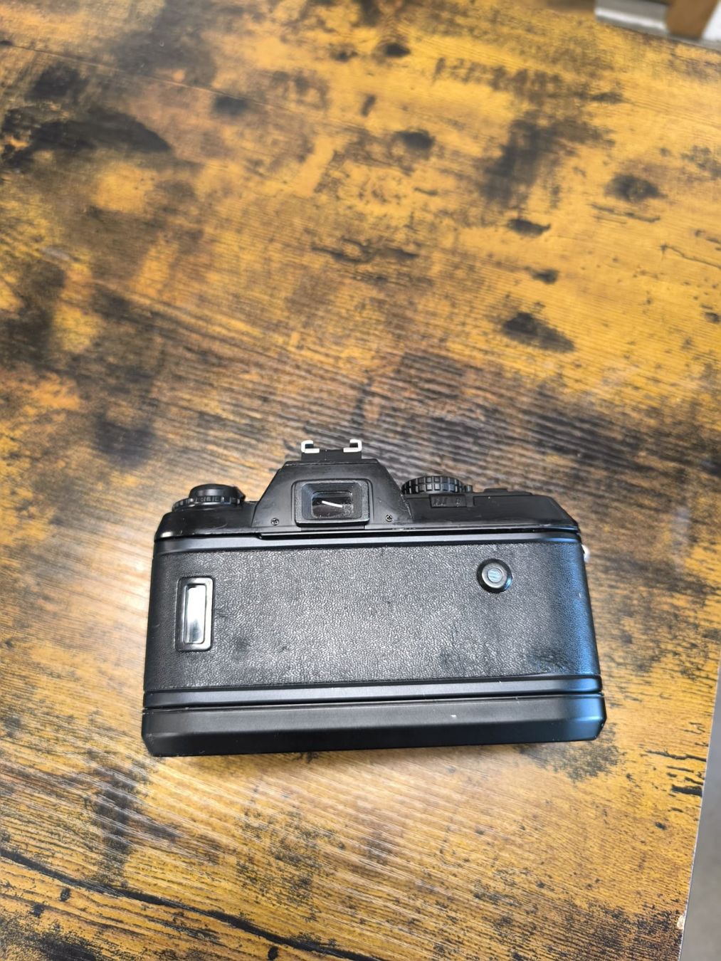 Nikon Fotocamera: Nikon F501 – Usato da Conthey venduto da costafrederico 5