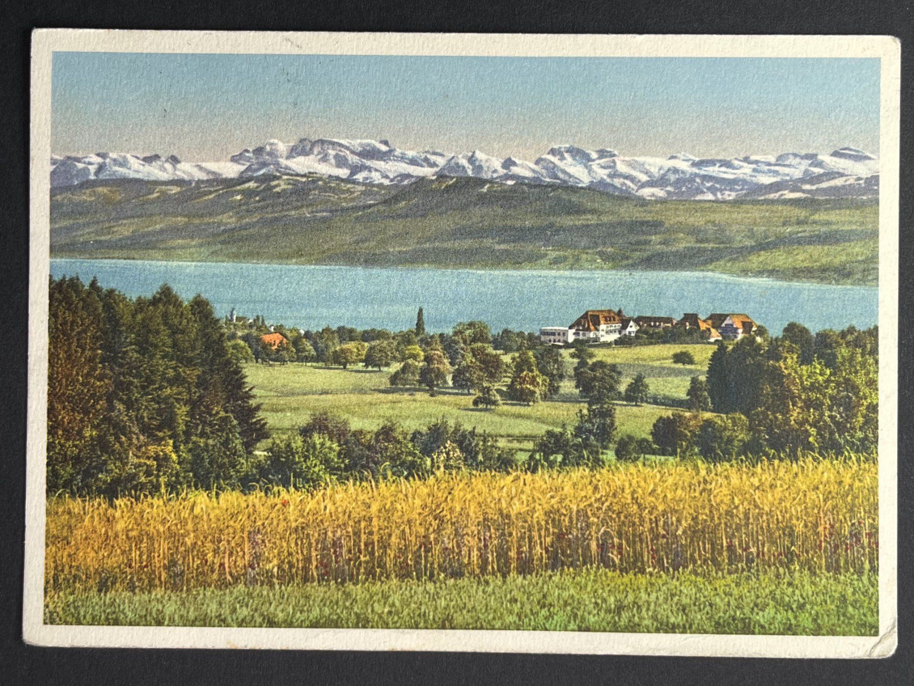 Cartoline postali: Hohenegg - Meilen – Usato da Steg VS venduto da _vinci_