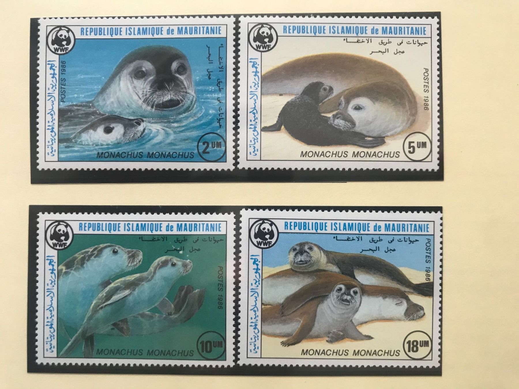 Tutti i francobolli: Mauretanien 1986 Satz WWF Mittelmeer-Mönchsrobbe postfrisch – Nuovo (secondo la descrizione) da Liestal venduto da schnueps