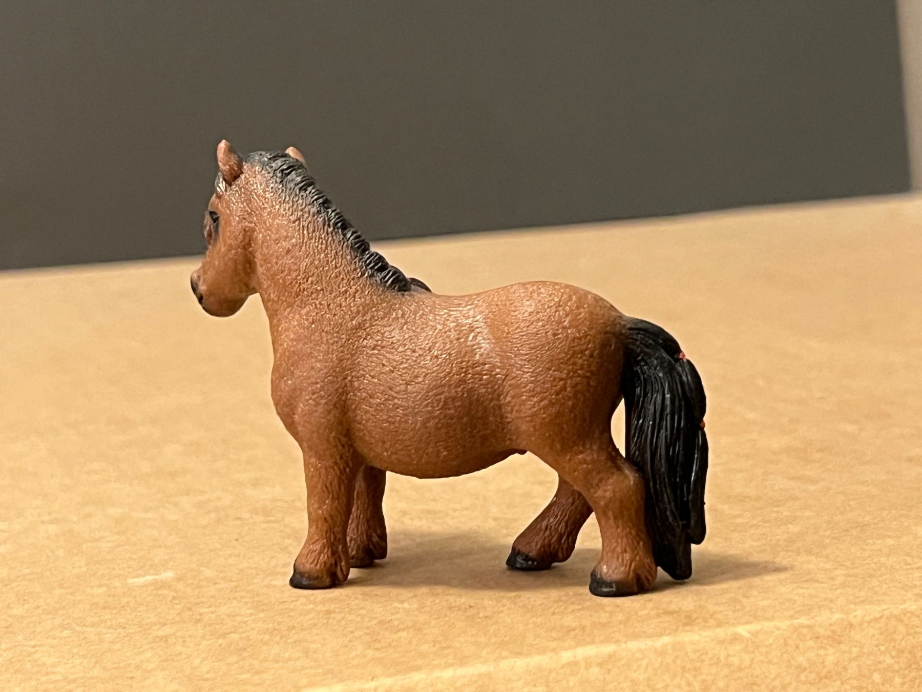 Schleich Statuette: Schleich Mini Shetty Horse Club – Usato da Ennetbaden venduto da mapa05 4