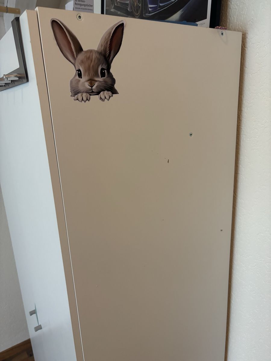 Armadi: Schrank kostenlos – Usato da Oberriet SG venduto da jen_b5ht 2