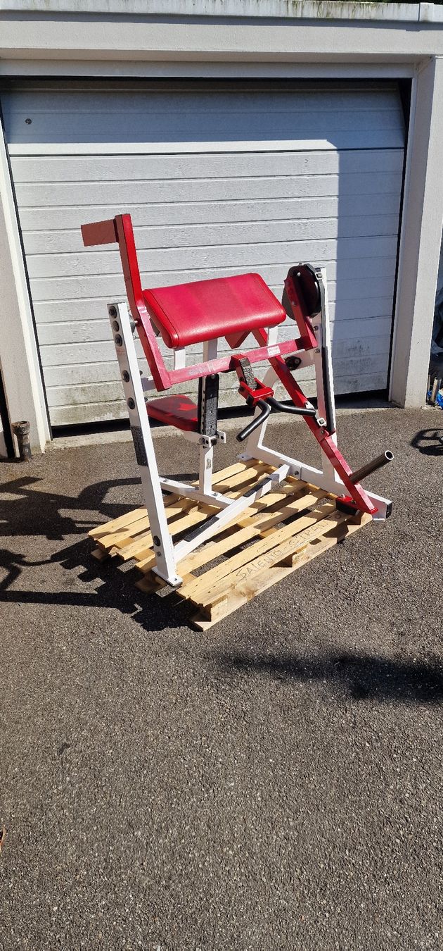 Hometrainer: Hammer Strength Bizepsmaschine – Usato da Aarau venduto da shq_869r 6
