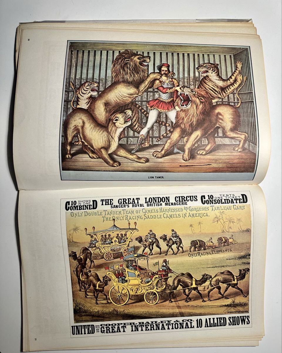 Libri: 100 Jahre Circus Plakate – Usato da Zürich venduto da bella027 3