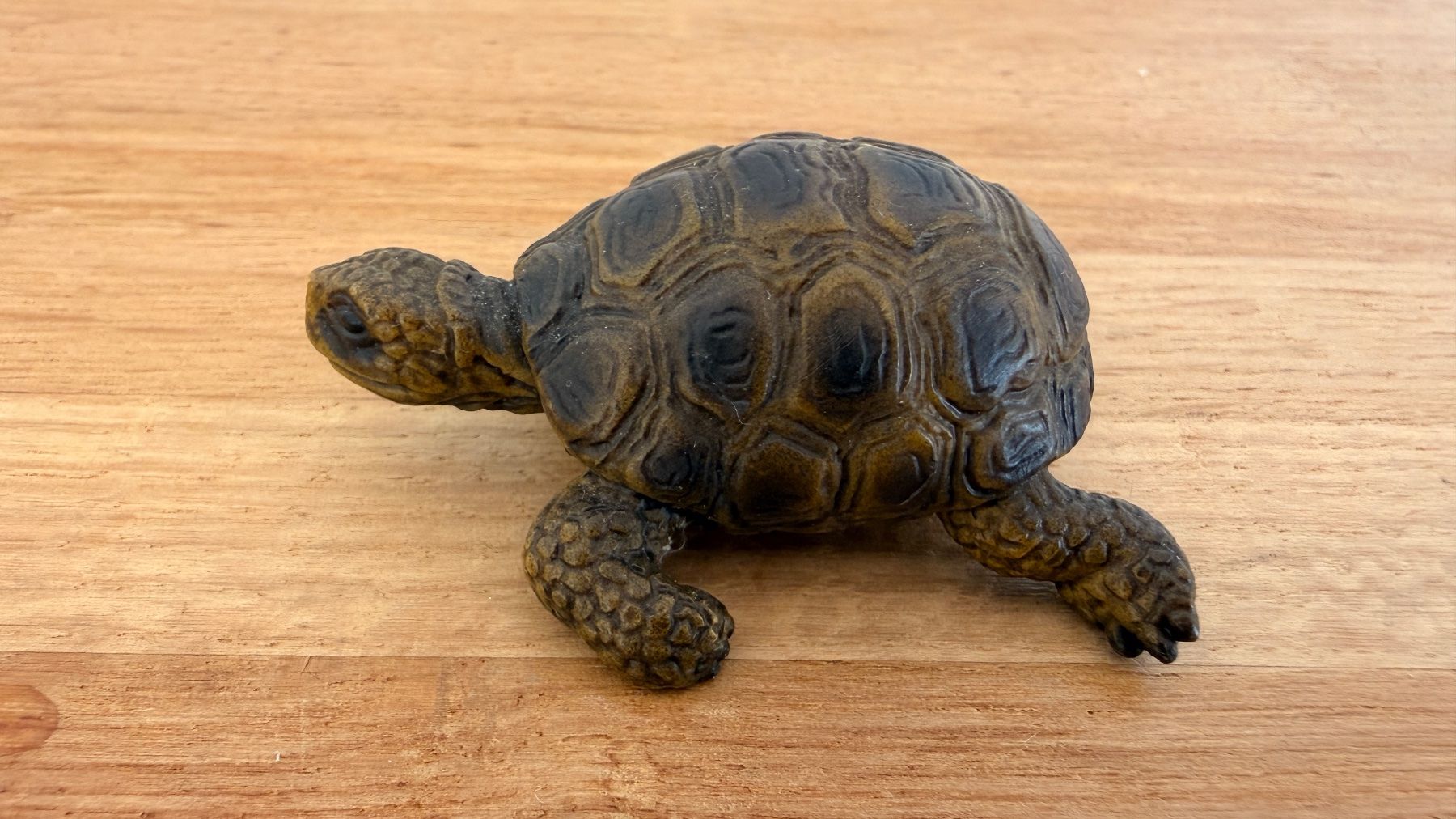 Schleich Giocattoli: SCHLEICH - Schildkröte 14404 – Usato da Winterthur venduto da Secondhand-Family 4