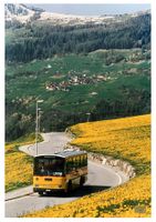 Vaz/Obervaz Lenzerheide Postauto Saurer RH Foto Poster 50x70