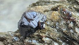 Rutil, Magnetit, Cervandonit mit Magnetit. Drei Kleinstufen 