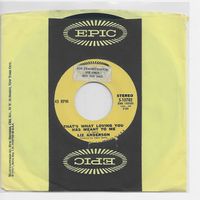 Liz Anderson - Thats what loving