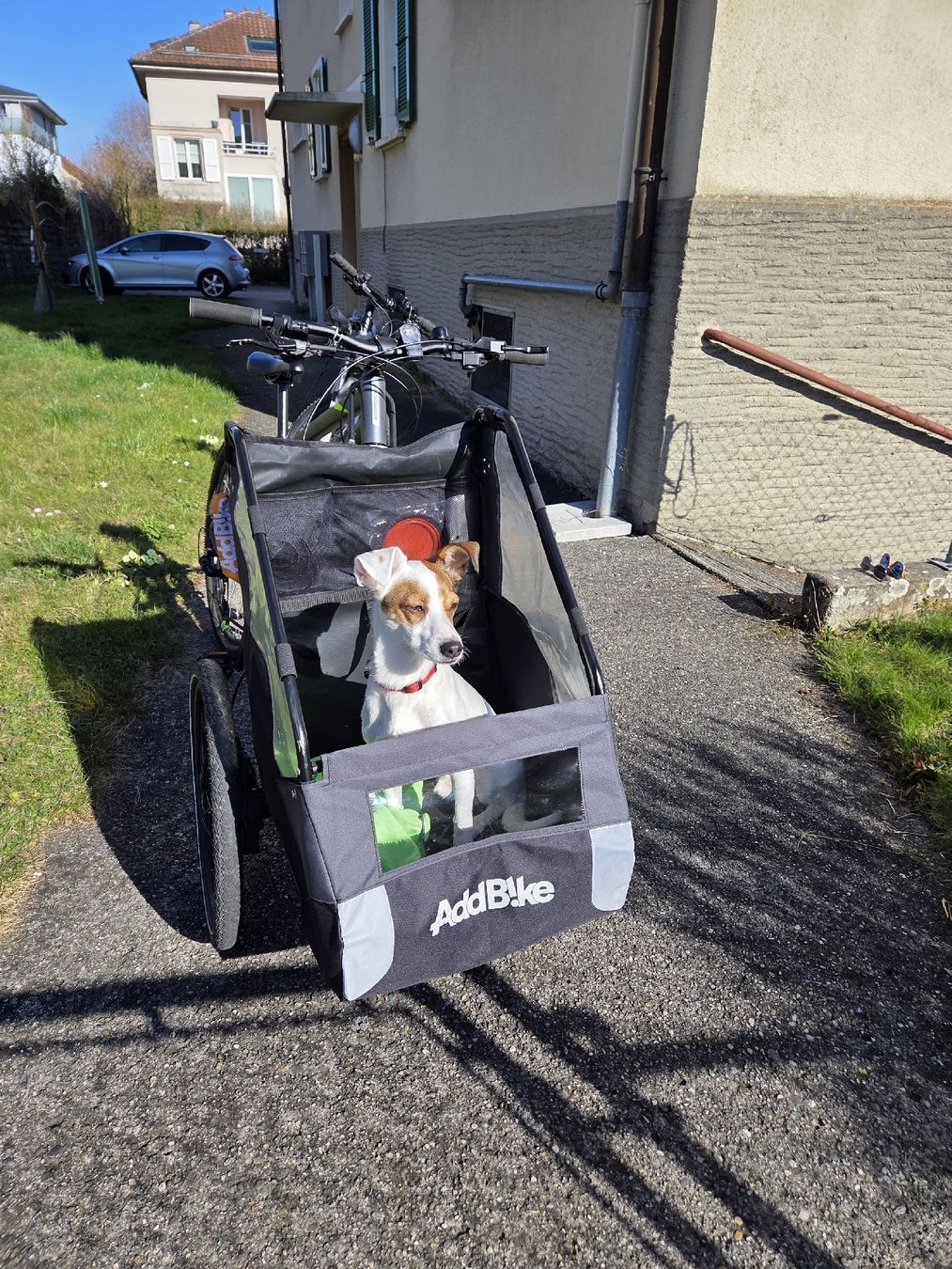 Rimorchi: Addbike dog trailer – Usato da Yverdon-les-Bains venduto da Monikah83 3