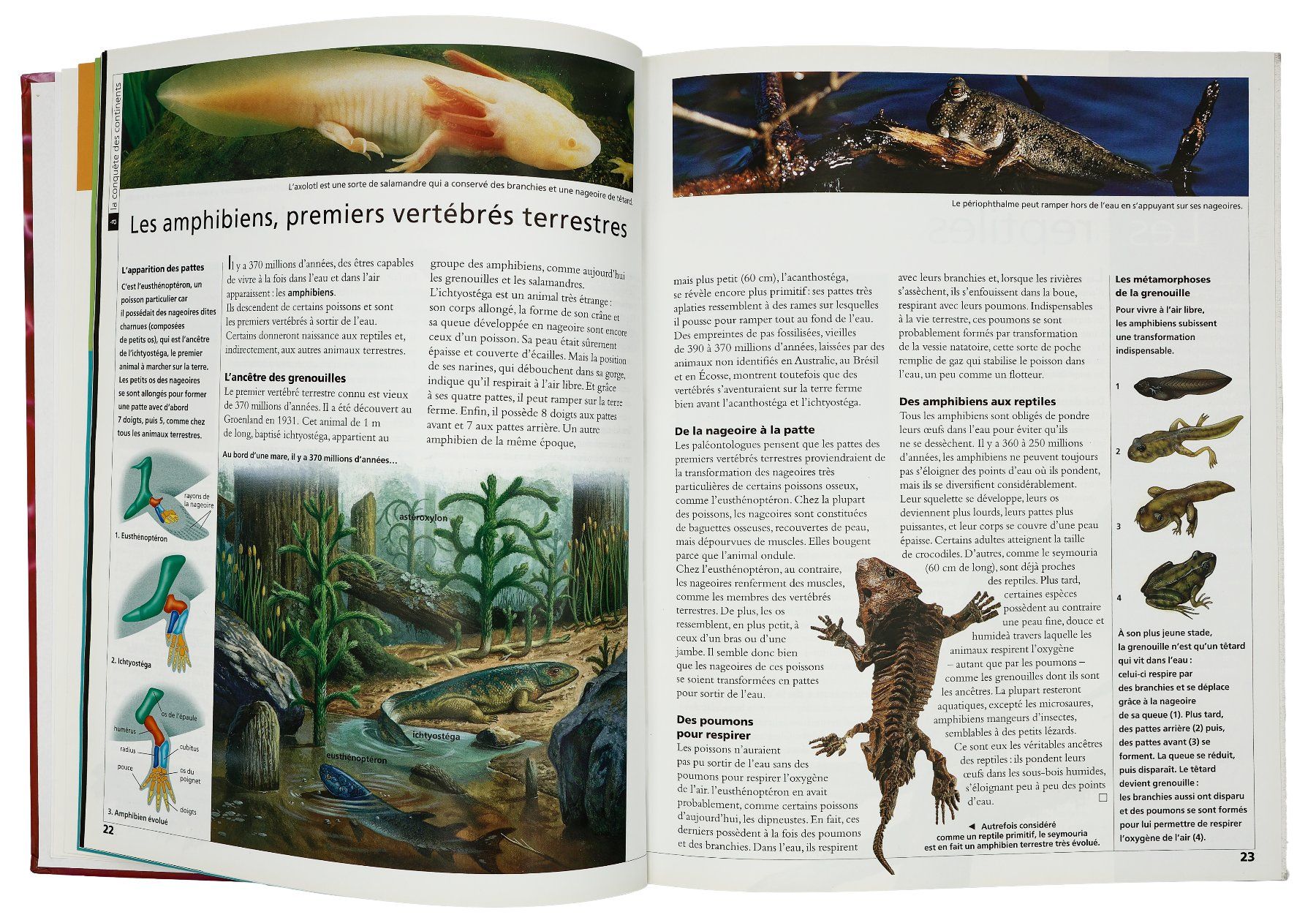 Libri: L’AVENTURE DU VIVANT "Encyclopédie des Sciences" – Usato da Onex venduto da gonsla 5