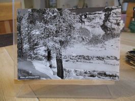Flims Flimserstein Postkarte  Feldpost Militär   2
