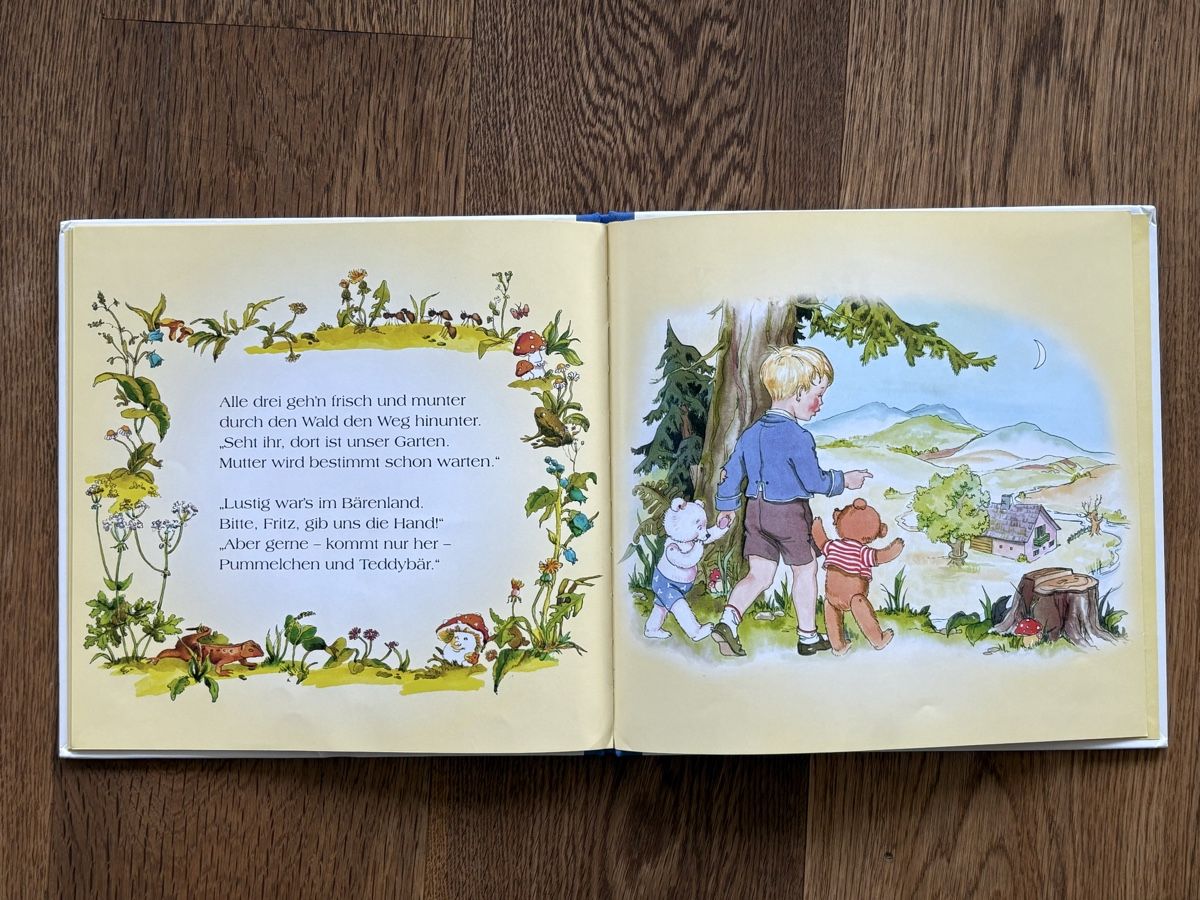 Bücher: Teddy und sein Bruder - Kinderbuch Klassiker, Top! – Gebraucht aus Horgen von Rafnaf 2