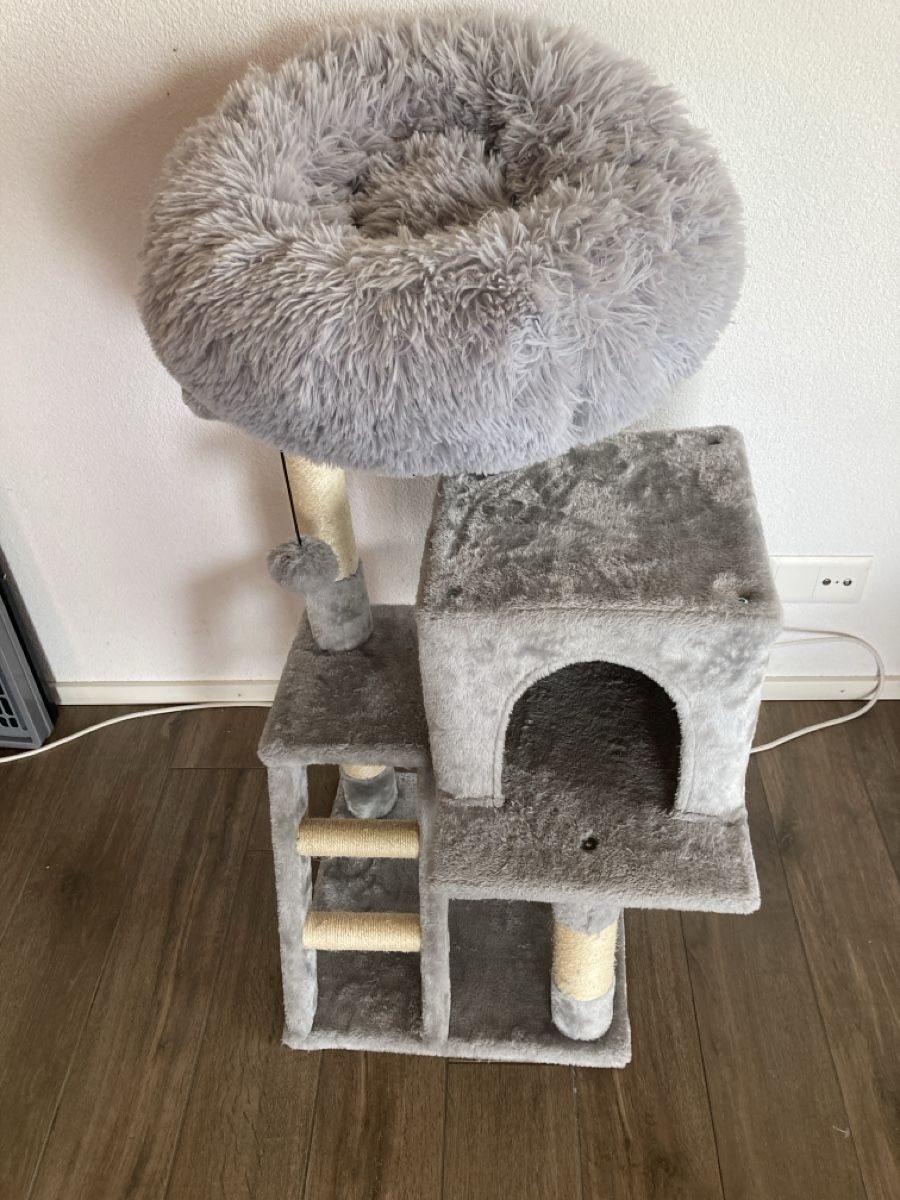 Tiragraffi: Katzenhaus – Usato da Schwanden GL venduto da bait04
