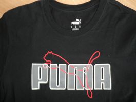 ****** Puma Gr M ******