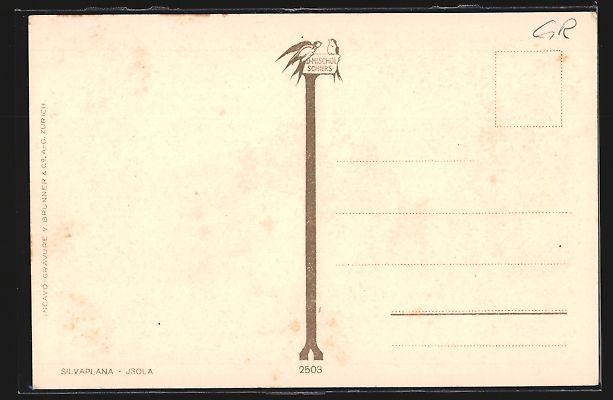 Cartoline postali: Silvaplana, Ortspartie aus der Vogelscha – Usato da Berlin venduto da bartko-reher 1