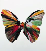 Damien Hirst Spin Painting Butterfly