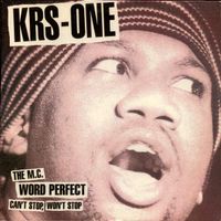 KRS-One ‎– Can't Stop, Won't Stop / The MC /Word Perfect 12"