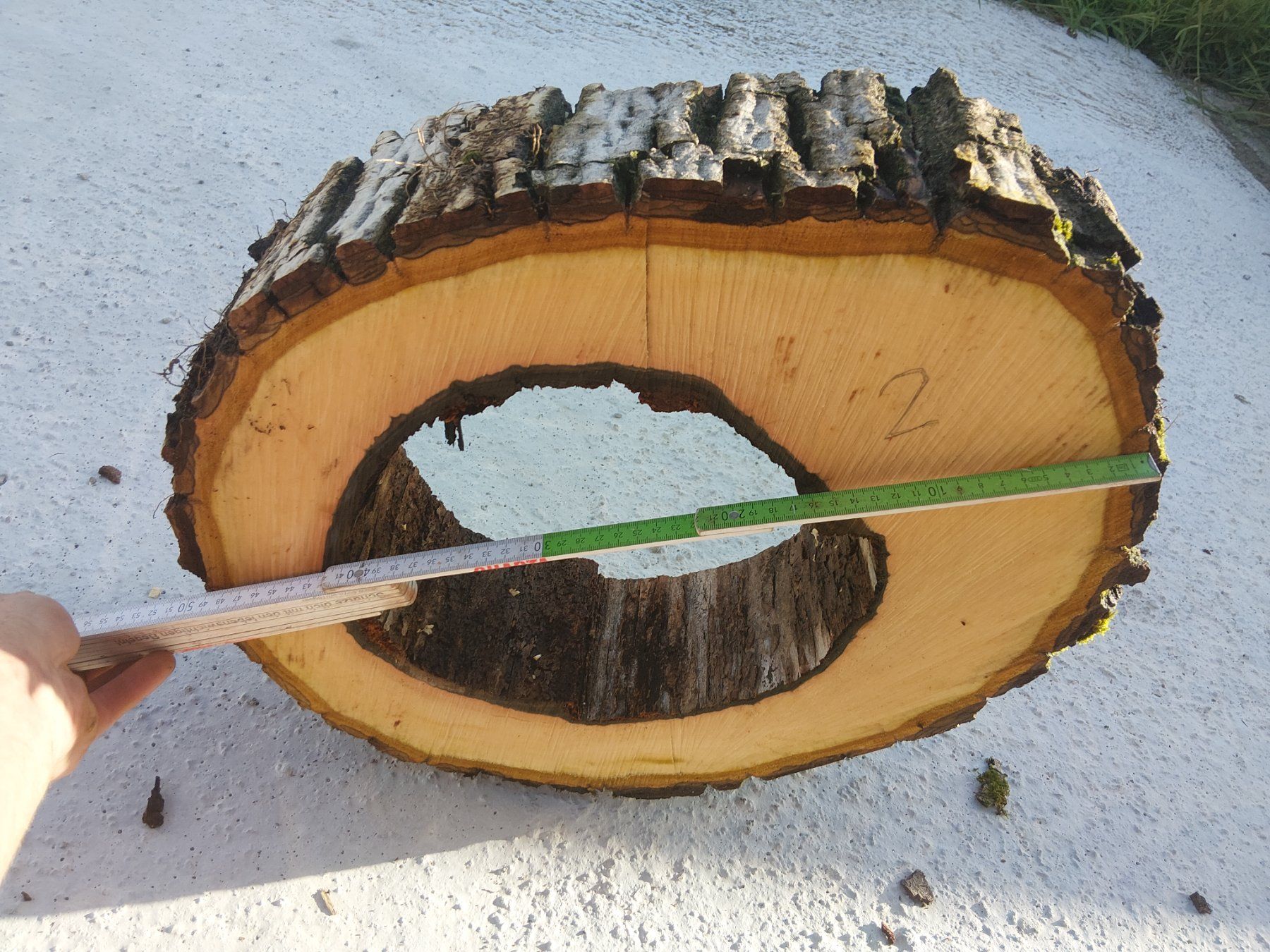 Holzartikel: Nussbaum Holzscheibe Nr. 2 Dekoration – Neu (gemäss Beschreibung) aus Affoltern am Albis von ret_6x6z 1