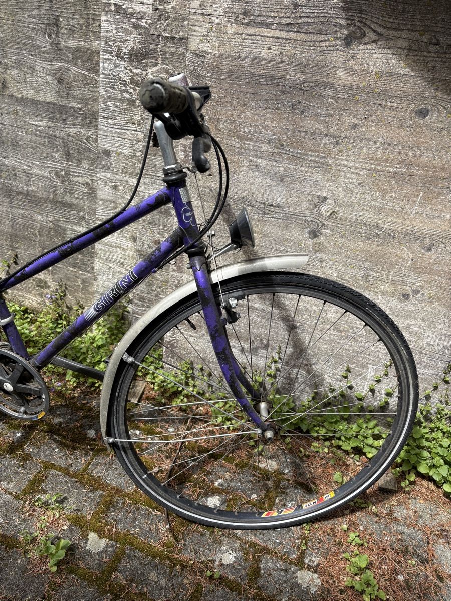 Biciclette: Velo lila – Usato da St.Margrethen SG venduto da bettyblue 4