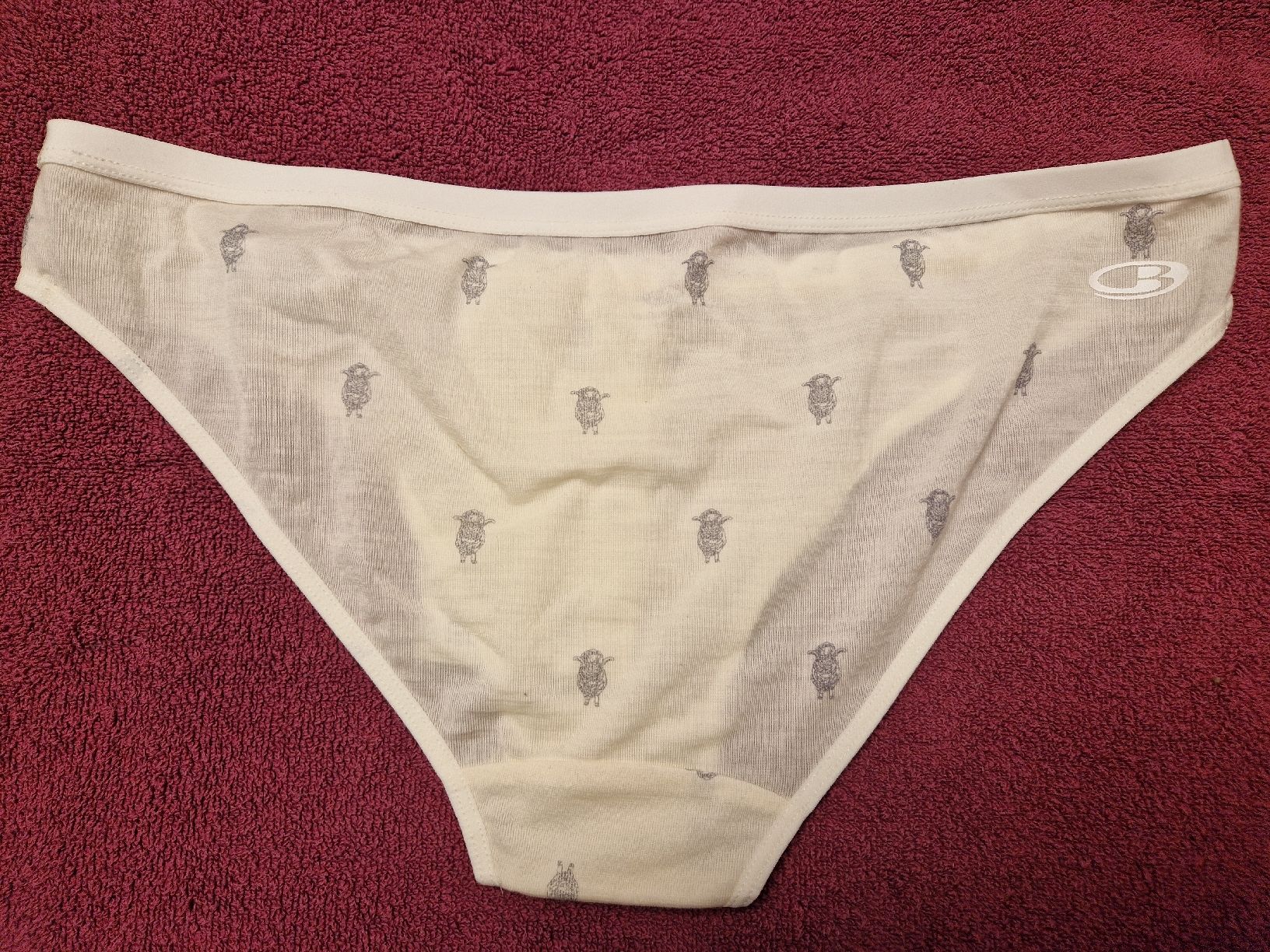 Icebreaker Altra biancheria intima: Icebeaker Siren Unterhose L NEU – Nuovo (secondo la descrizione) da Lichtensteig venduto da Cocabana_16 3