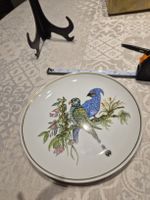 Assiette décorative vintage - Motif oiseaux exotiques🦜