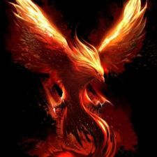 Profile image of pas_2pcz