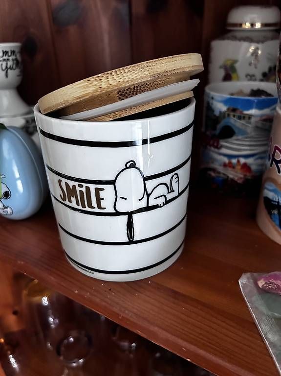 Behälter & Ähnliches: Keksdose mit aussteche von Snoopy/Peanuts – Neu und originalverpackt aus Bottenwil von Wikingerbraut